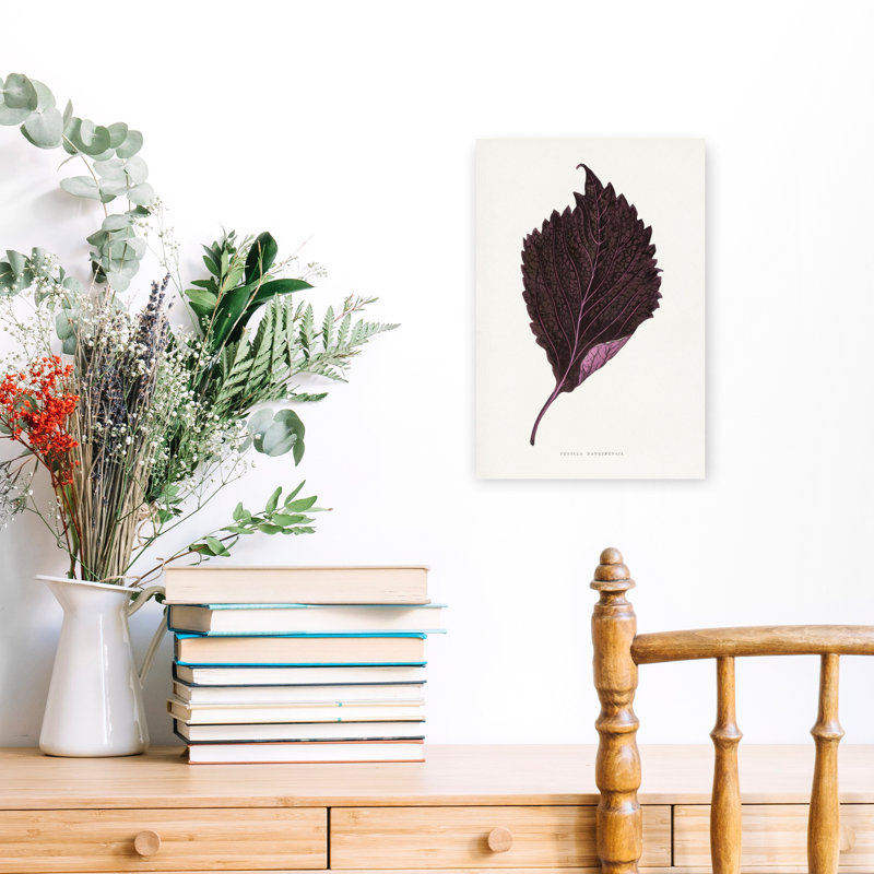 Perilla Nankinensis, feuille, illustration, rétro, rétro, fleur de lilas, art mural, H 18 po x l 12 po