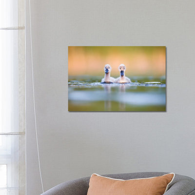 Brothers 1 Piece Wrapped Canvas Wall Art