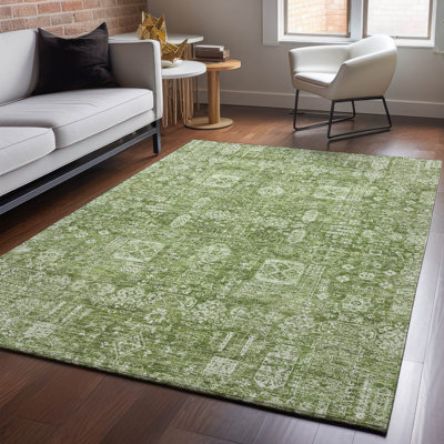 Premium Machine Washable Cerrito Aloe Rug