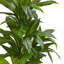 Silvie 48'' Faux Foliage Plant in Ceramic Planter