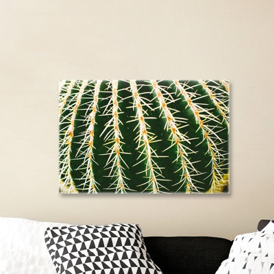 «Cassandra Eldridge - Cactus Close», reproduction de photo