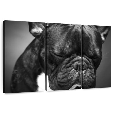 Bouledogue français mélancolique