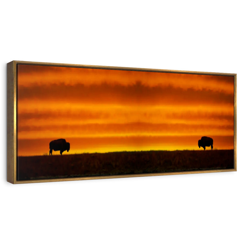 Lever de soleil sur les bisons, 31 po x 11 po, Cadre flottant doré