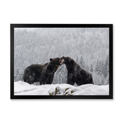 «Two Angry Brown Bear Fight in Winter Forest», reproduction sur toile