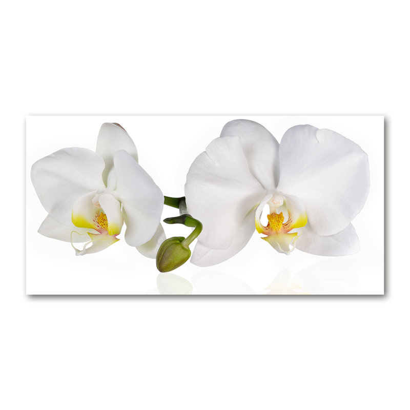 Orchid - Wrapped Canvas Print