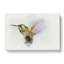 Flying Hummingbird Bird In Abstract - Wrapped Canvas Print-55317604