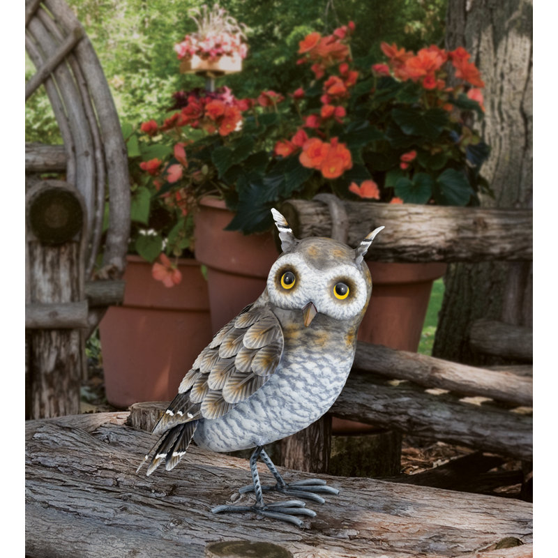 Hibou gris