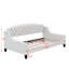 Twin Modern Luxury Tufted Button Daybed-118028156