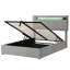 Chasitee Upholstered Velvet Lift Up Storage Bed