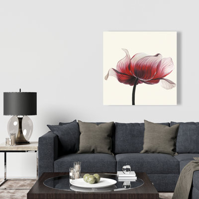 Anemone Flower - Office Red Canvas for Home Decor | Art Piece