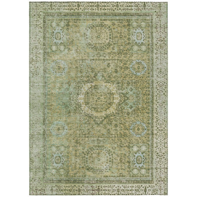 Machine Washable Indoor/Outdoor Xhevrie Sage Rug