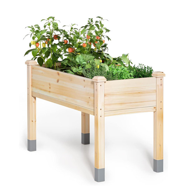 Arlmont & Co. Eachann Wood Raised Garden Bed | Wayfair