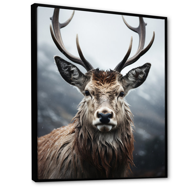 Cerf Bearnard monochrome I, H 44 po x l 34 po x P 1,5 po, Cadre flottant noir