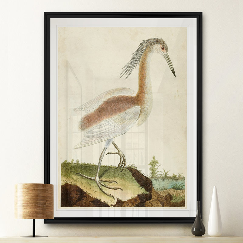 « héron portrait iii », reproduction sur toile, H 18,5 po x l 24,5 po x P 1,5 po, Noir