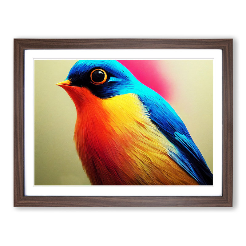 Seductive Robin Bird - Single Picture Frame Print, 46cm H x 64cm W x 2cm D, Walnut