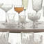 Hollinger 11.15ml Drinking Glass Set