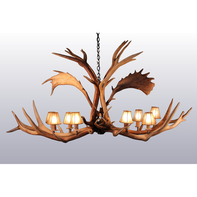 Lustre gris classique/traditionnel 8 lumières Boyertown