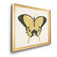 «Beautiful Butterfly I», impression sur toile encadrée-345591188-345591191