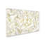 « white pivoine fleur », reproduction de photo sur toile tendue-31106328