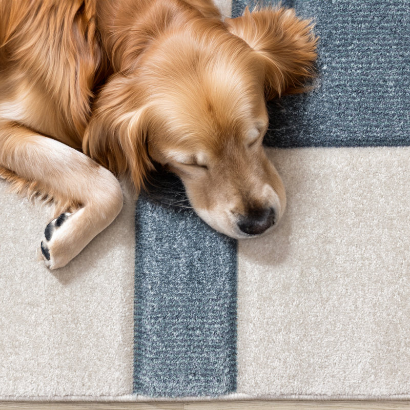 Tapis tissé à la machine Marshawna, Rectangle 7 pi 10 po x 10 pi 6 po