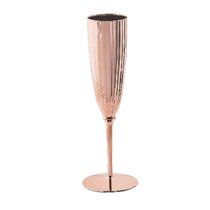 https://assets.wfcdn.com/im/88175847/resize-h210-w210%5Ecompr-r85/1923/192350376/Disposable+Plastic+Champagne+Flute+for+12+Guests+%28Set+of+12%29.jpg