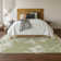 Premium Machine Washable Prisco Aloe Rug
