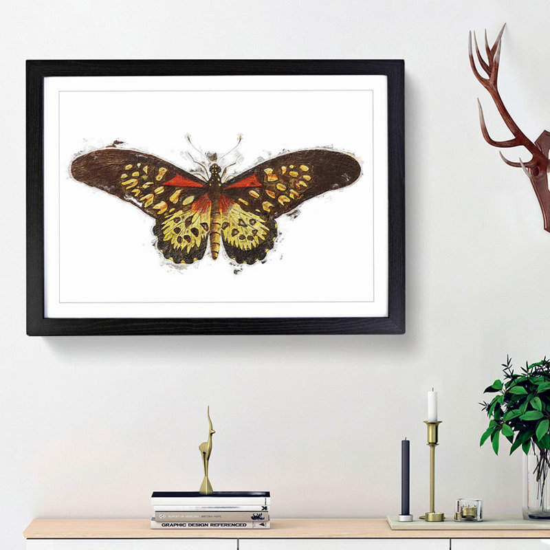 Leona Butterfly by George Shaw - Picture Frame Painting Print, Black Framed, 36cm H x 48cm W x 2cm D