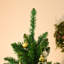 Lighted Artificial Christmas Tree-174592178