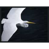 Gliding Egret' Framed Photographic Print on Glass