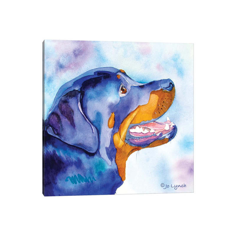 Black Lab II by Jo Lynch - Wrapped Canvas Gallery-Wrapped Canvas Giclée, 30.48cm H x 30.48cm W