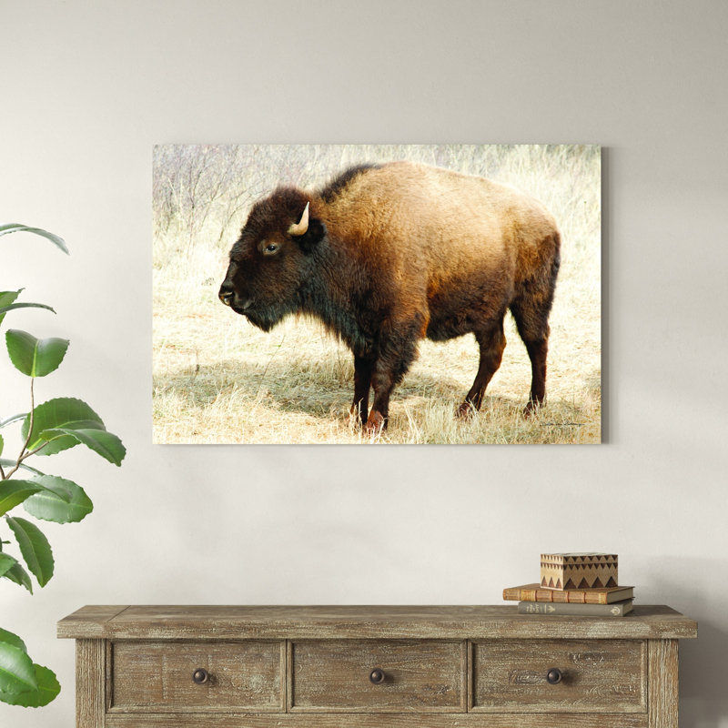 Bison d'Amérique III, H 32 po x l 48 po