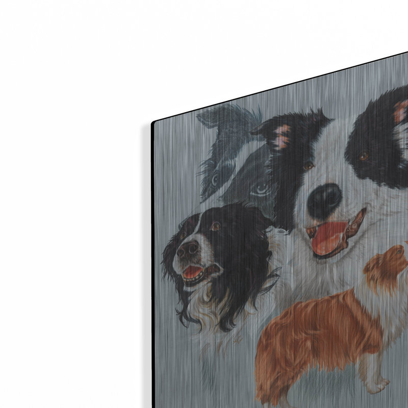 "Boarder Collie" par Barbara Keith, H 16 po x l 12 po