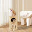 Maison de chat Elisjah