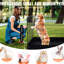 Enclos pliable à 4 panneaux pour chien, taille 36 "X, imperméable 600d, idéal pour les chiots et les chatons qui font de l'exercice