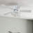 Briteny 42'' Ceiling Fan with Light Kit-953916487