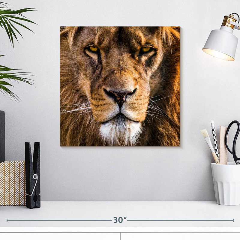 Tête de lion Brampt Regal, H 16 po x l 16 po
