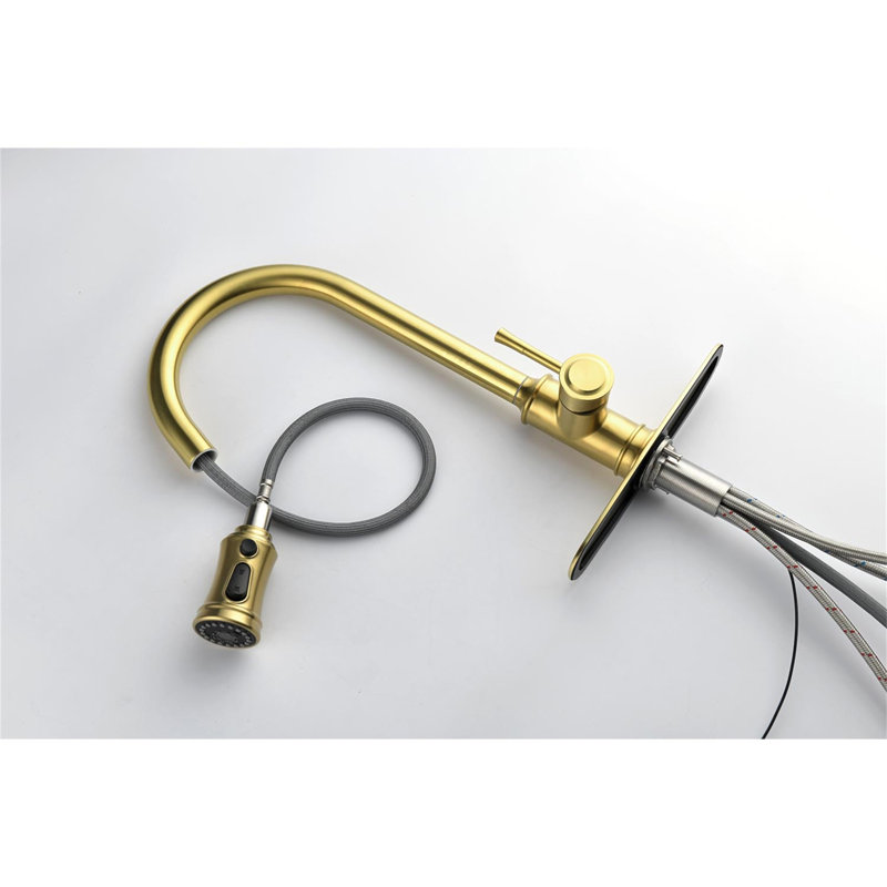 Brushed Gold Stainless Steel Pull-Out Spray Kitchen Faucet