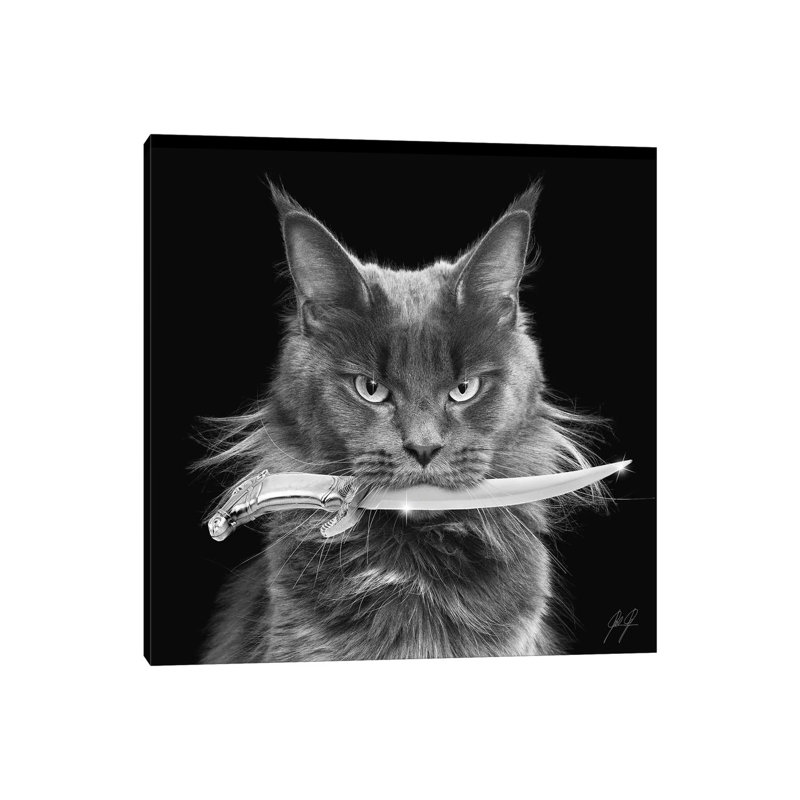 Killer Cat I by Kathrin Federer - Wrapped Canvas Print, 66.04cm H x 66.04cm W x 1.91cm D