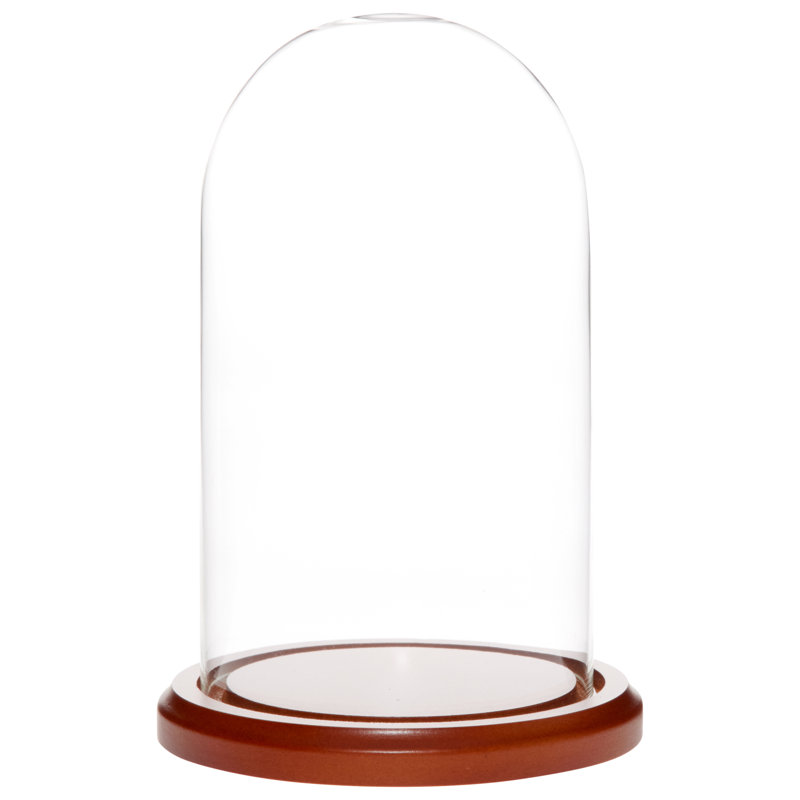 Cloche en verre avec dôme 4,5 "x 8" Vucciria, Base en bois aggloméré noyer