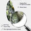 Nixon - Succulent courbure décorative murale irrégulière en métal-110469121