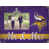 Minnesota Vikings