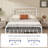 Hidalgo Metal Platform Bed-118303751-118303748