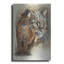 " Asian Golden Cat " by Barbara Keith-527935419