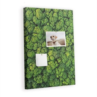 Cork Corkboard / Bulletin Board