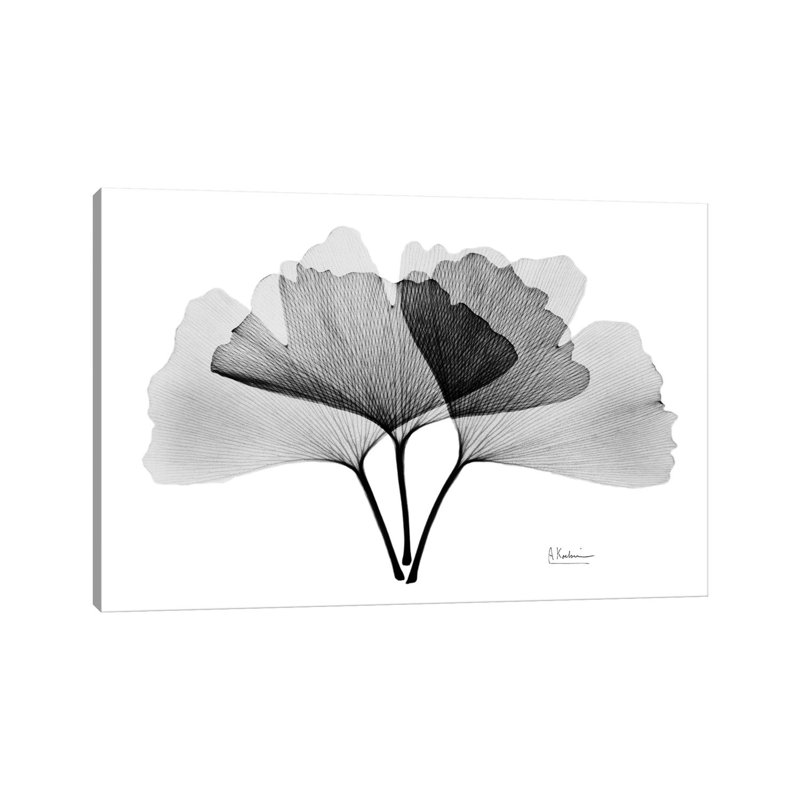 «Inverted Ginko II» par Albert Koetsier, reproduction d'art sur toile tendue, H 26 po x l 40 po x P 1,5 po