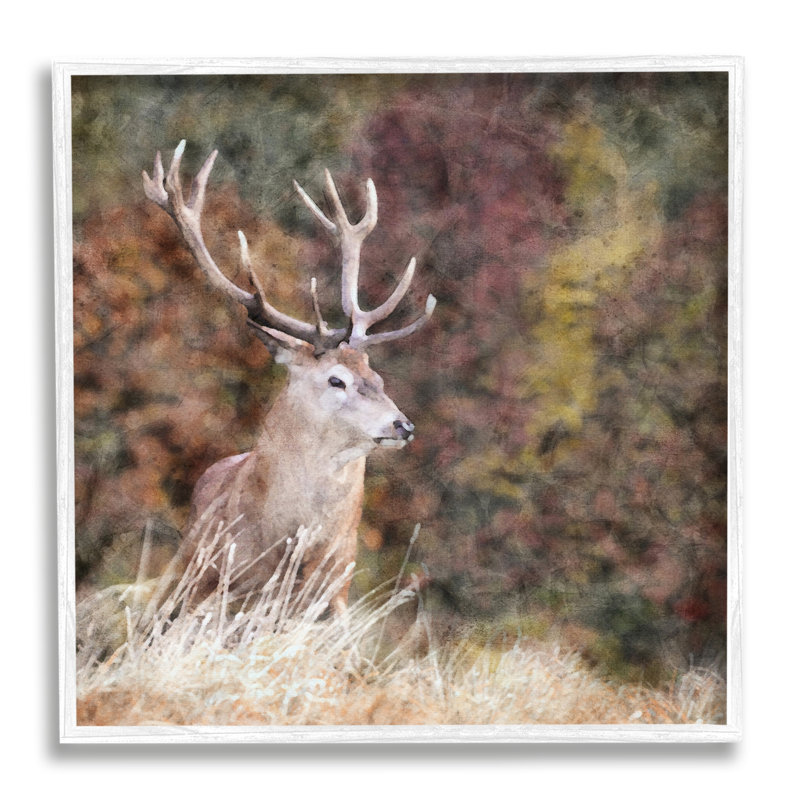 «Deer In Forest Nature» par LSR Design Studio, H 17 po x l 17 po x P 1,5 po, Giclée encadrée blanc bord de mer