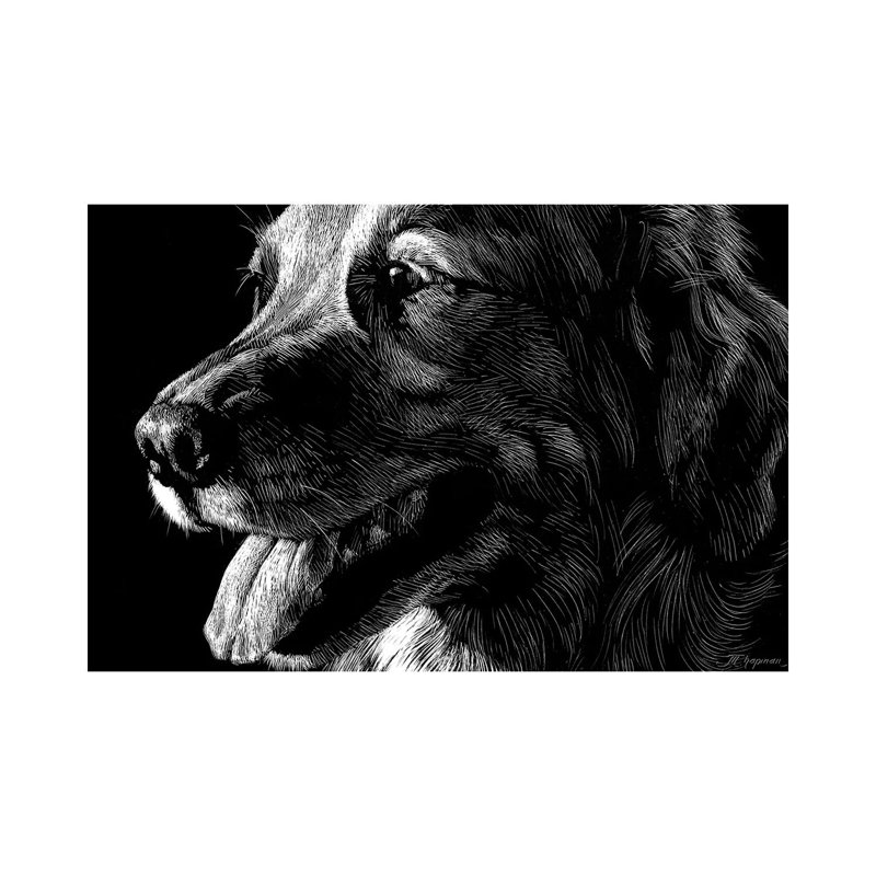 Canine Scratchboard XIV by Julie T. Chapman - Wrapped Canvas Print, 101.6 cm H x 66.04 cm W x 3.175 cm D