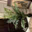Customer photo 3 of 3