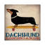 Dachshund Longboards by Ryan Fowler - Print on Canvas-653153070-653153041