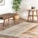 Bolingbrook Modern Abstract Performance Beige Rug